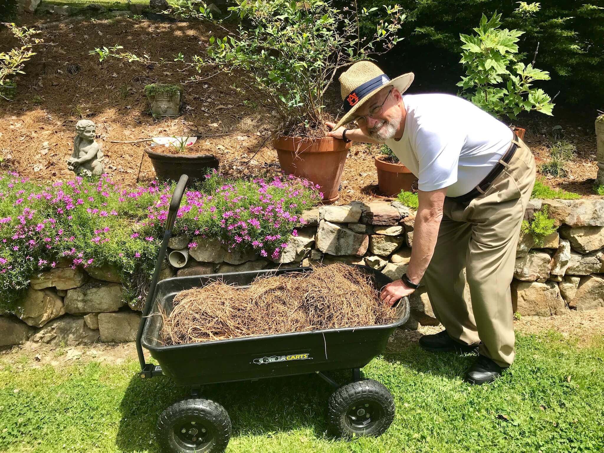 Guy working in his yard with a Gorilla cart