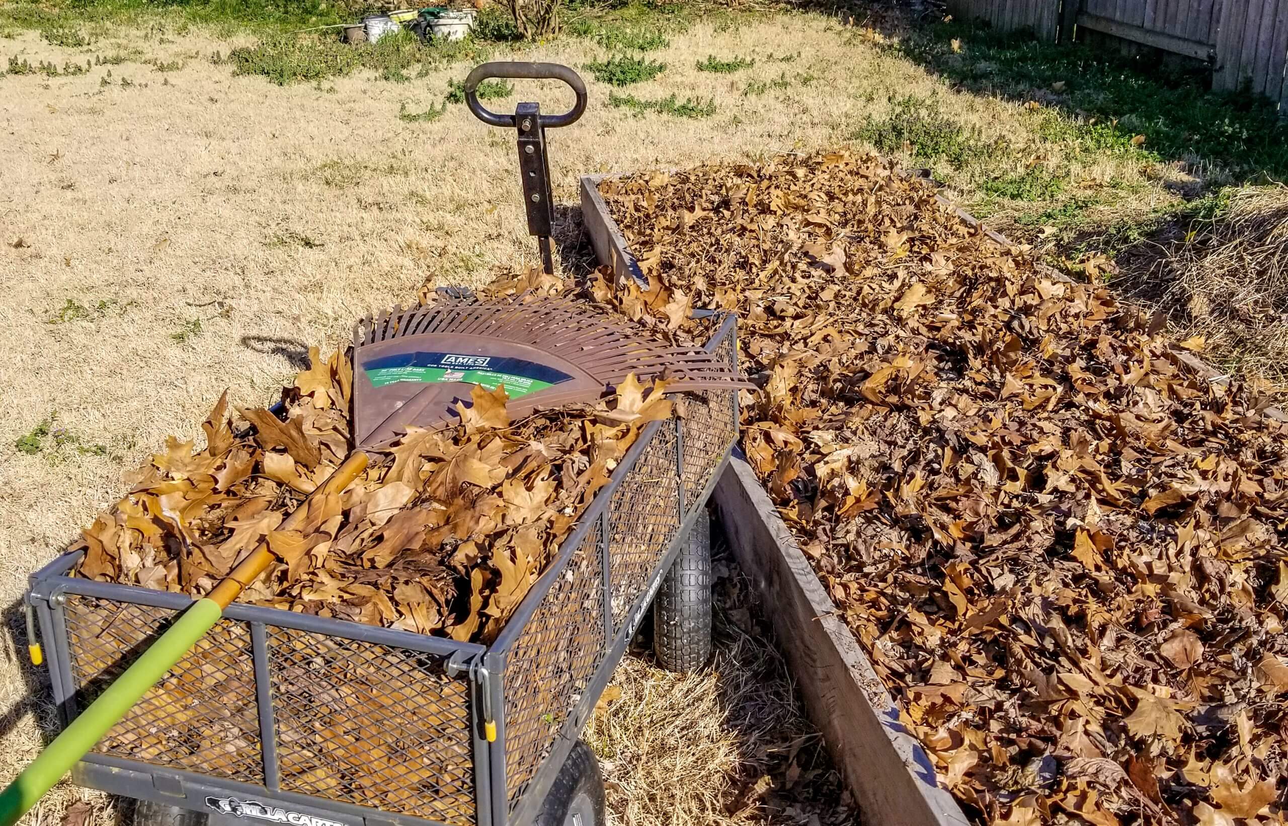 pile of leaves